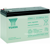 Аккумуляторная батарея Yuasa REW45-12 
