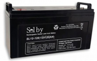 Аккумуляторная батарея Solby SL12-100 